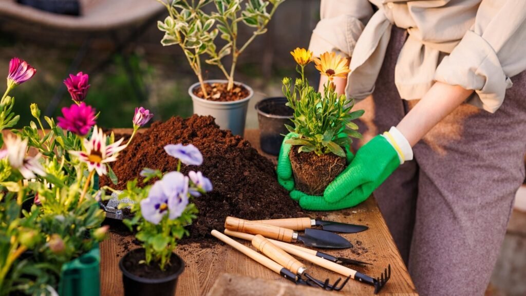 Does Your Gardening Zone Even Matter? Does Your Gardening Zone Even Matter?