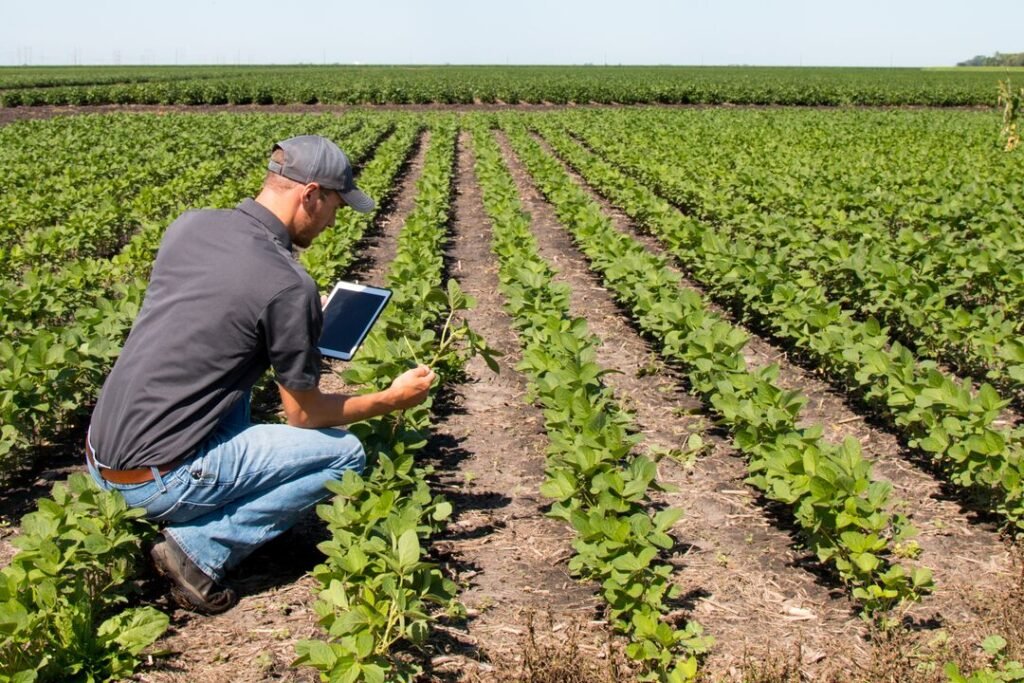 FBN and Google team up to give farm AI the context it's been missing
