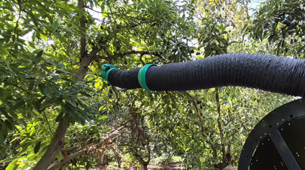 🎥 Can Picker AgRobotics’ Dr Octopus-style arms finally crack autonomous fruit harvesting?