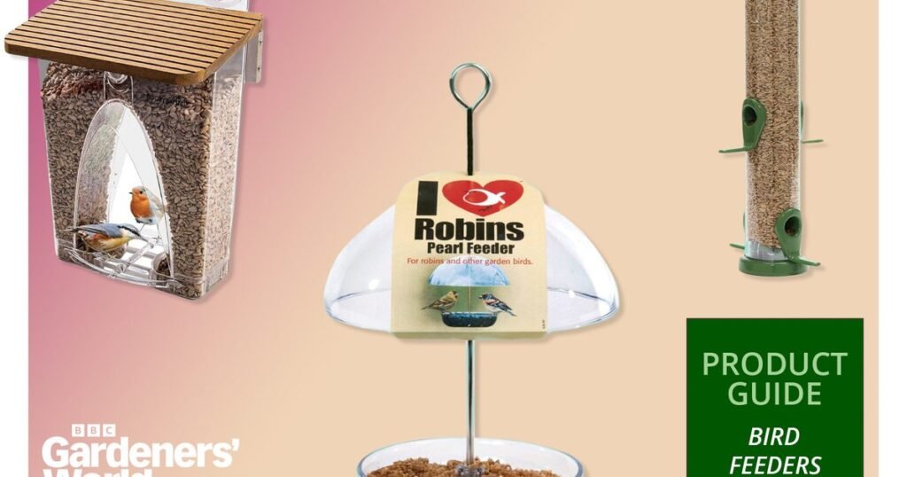 The best bird feeders for your garden in 2026 The best bird feeders for your garden in 2026